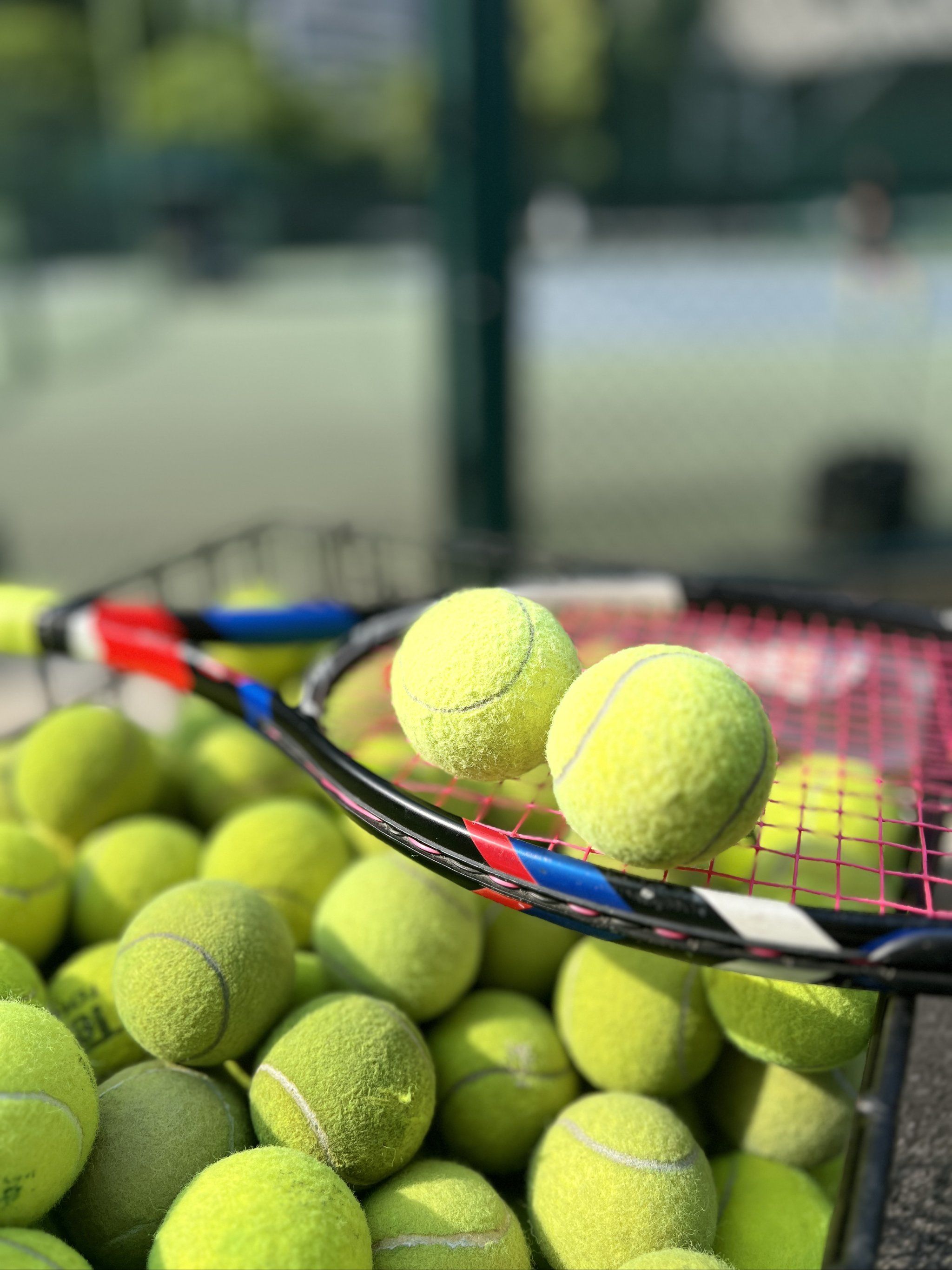 经验丰富 经验丰富